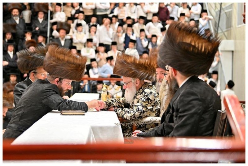 יהושע פרוכטר