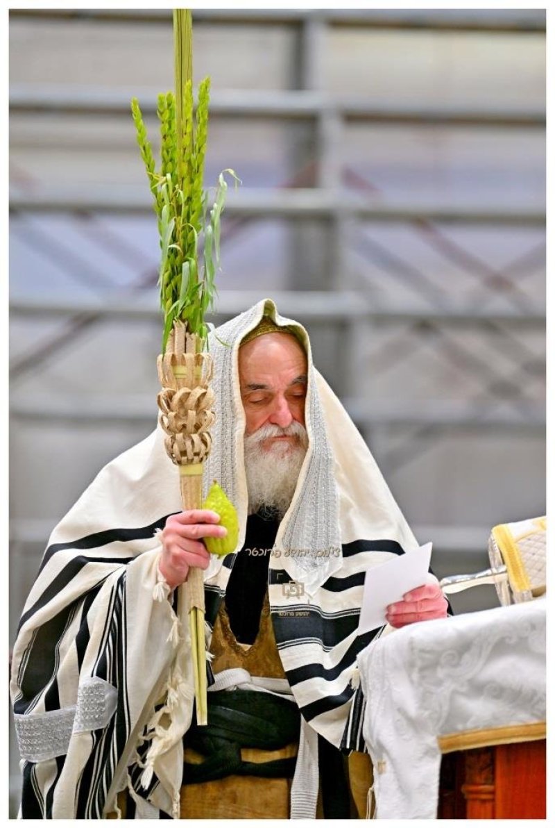 יהושע פרוכטר