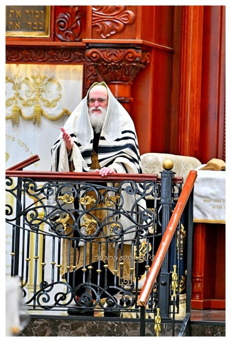 יהושע פרוכטר