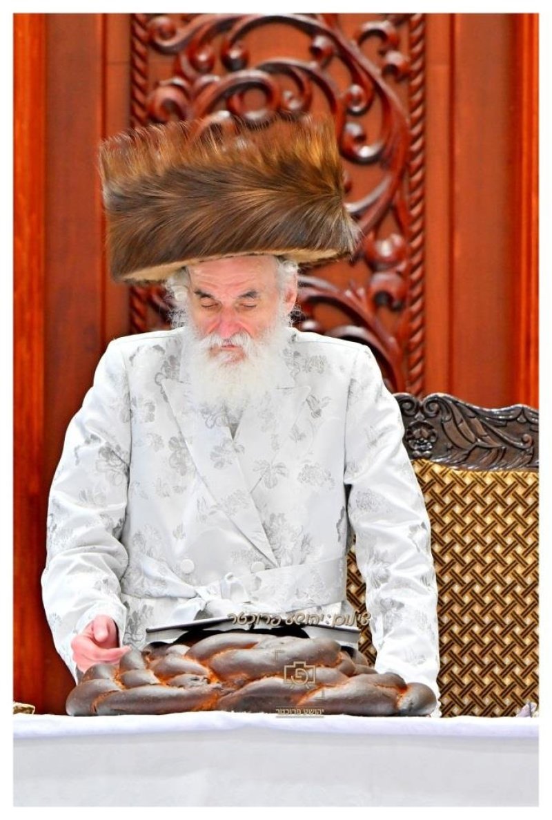 יהושע פרוכטר