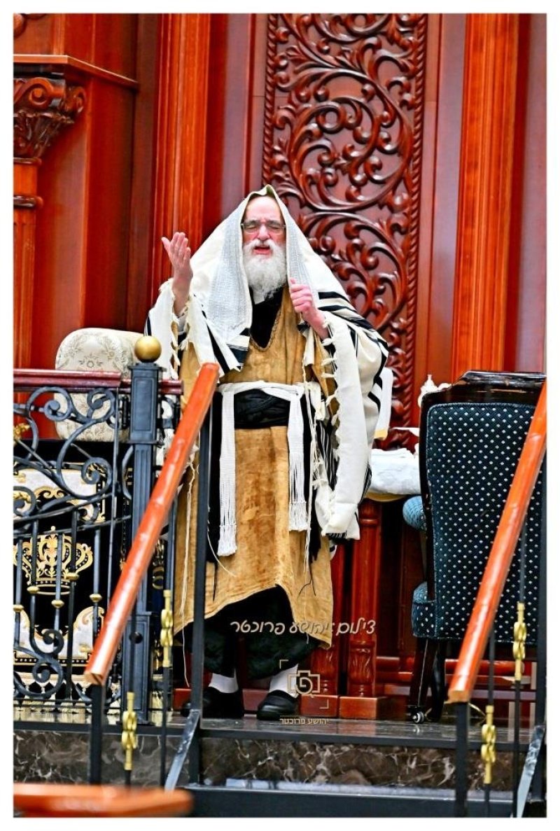 יהושע פרוכטר