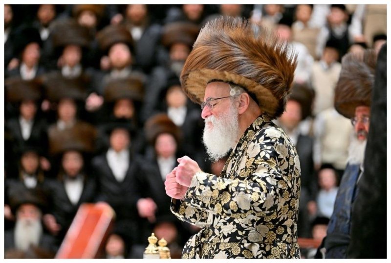 יהושע פרוכטר