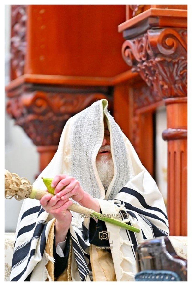 יהושע פרוכטר