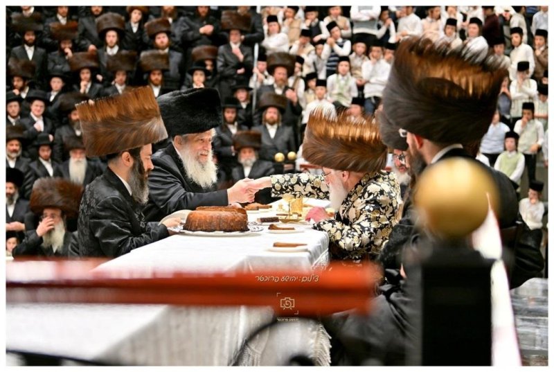 יהושע פרוכטר