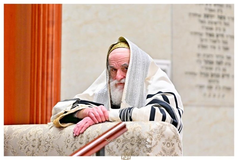 יהושע פרוכטר