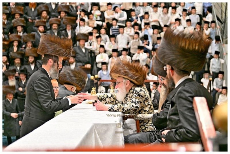 יהושע פרוכטר