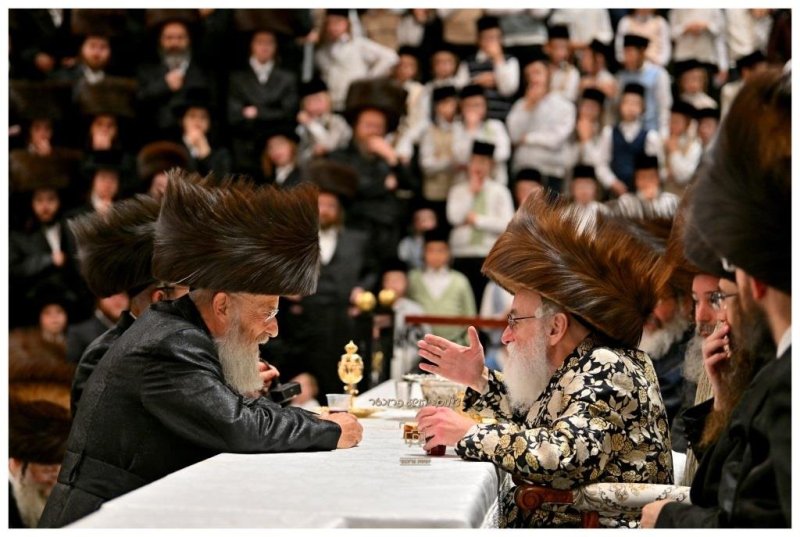 יהושע פרוכטר