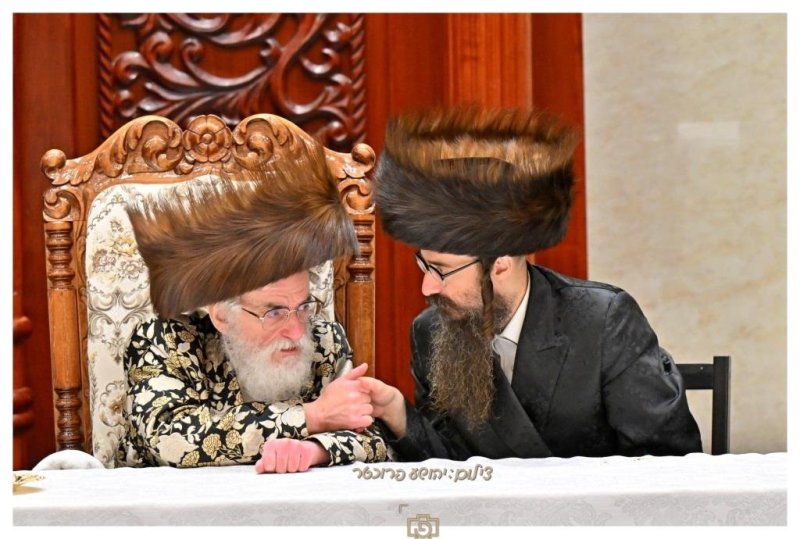 יהושע פרוכטר