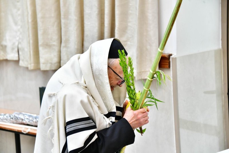 שוקי לרר