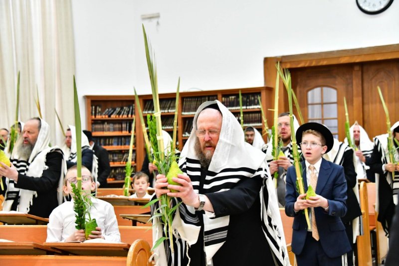 שוקי לרר