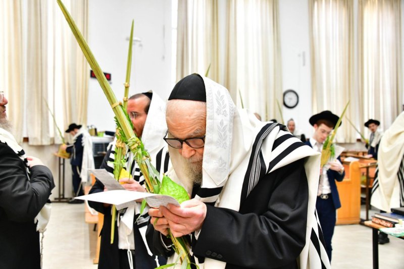 שוקי לרר