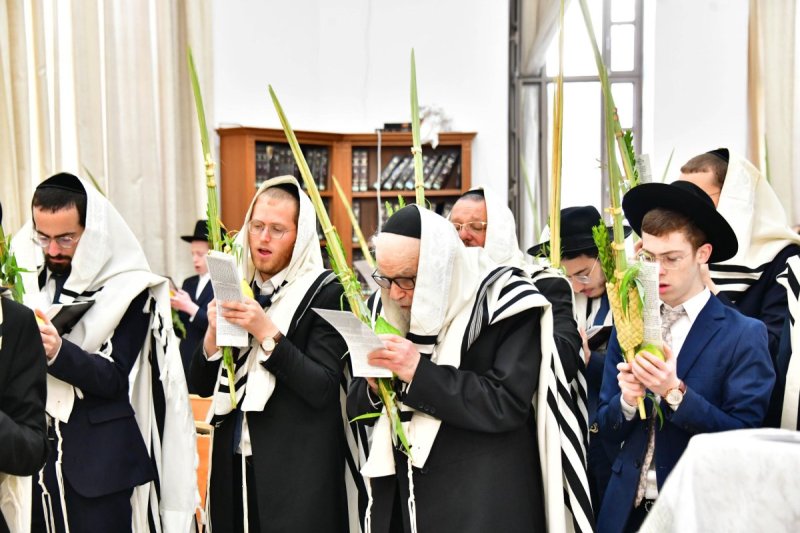 שוקי לרר