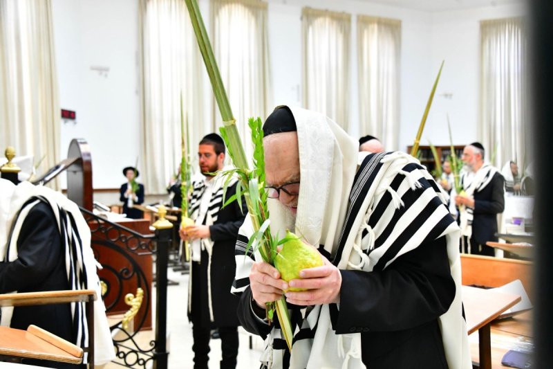 שוקי לרר