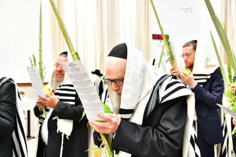 שוקי לרר