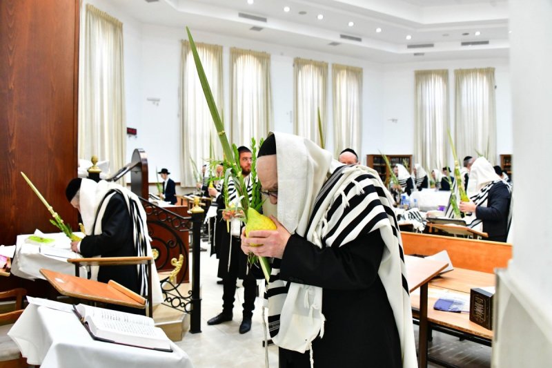 שוקי לרר