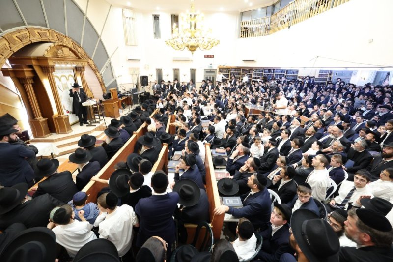 קובי הר צבי