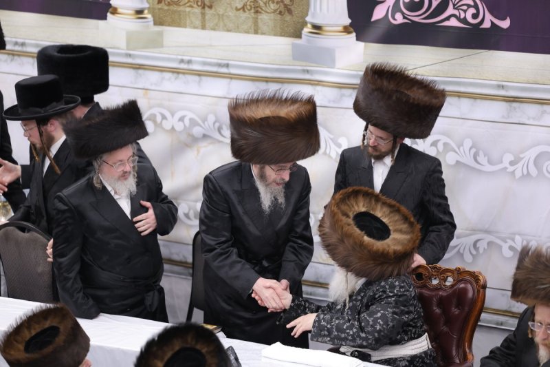 מאיר פרקש