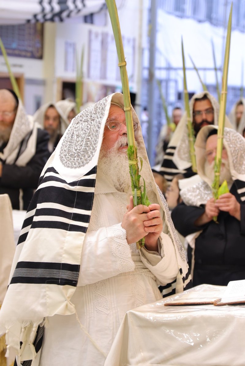 מאיר פרקש