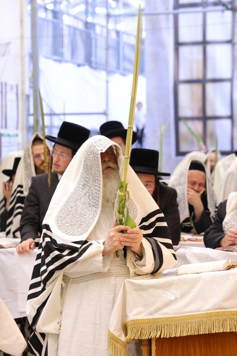 מאיר פרקש
