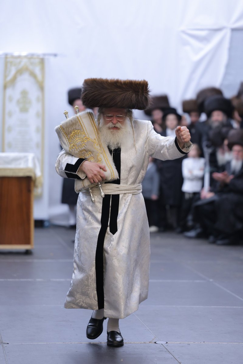 מאיר פרקש