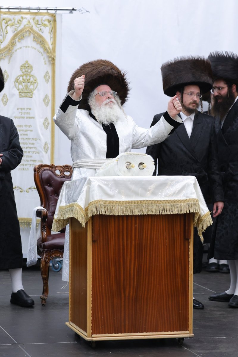 מאיר פרקש