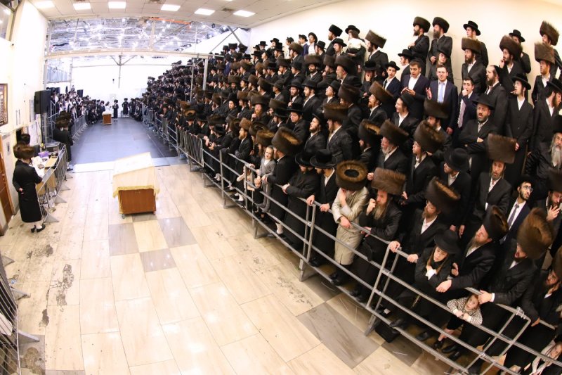 מאיר פרקש