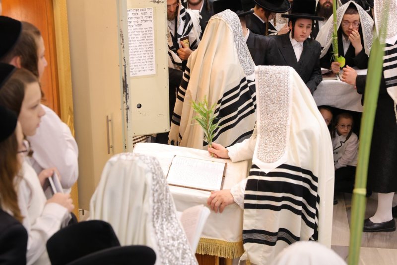 מאיר פרקש