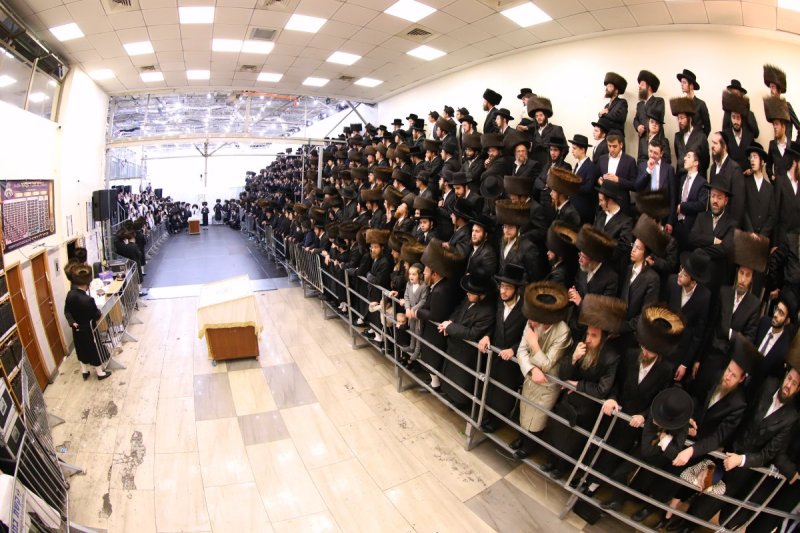 מאיר פרקש
