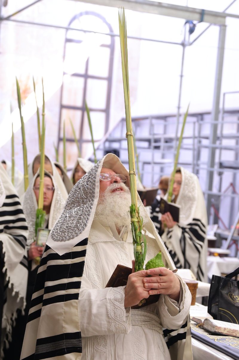 מאיר פרקש