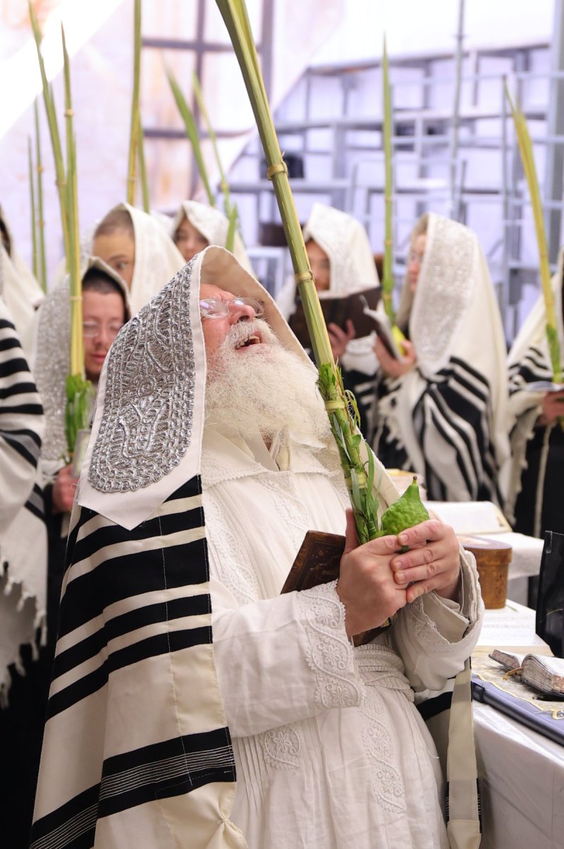מאיר פרקש