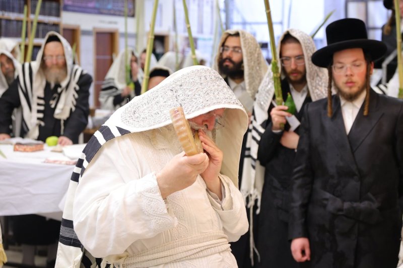מאיר פרקש