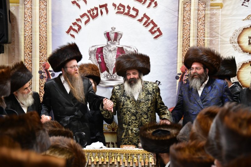 יוסי לוי