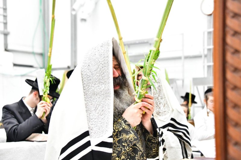 שוקי לרר