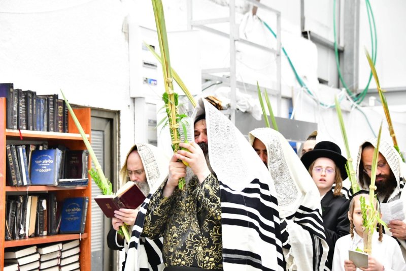 שוקי לרר