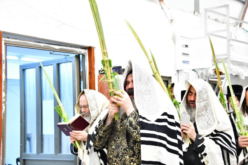 שוקי לרר