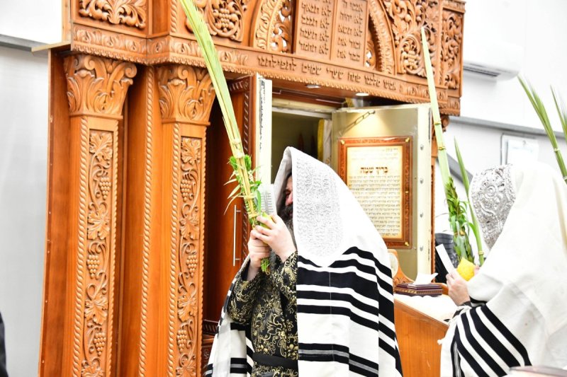 שוקי לרר