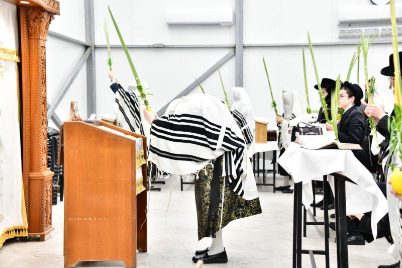 שוקי לרר