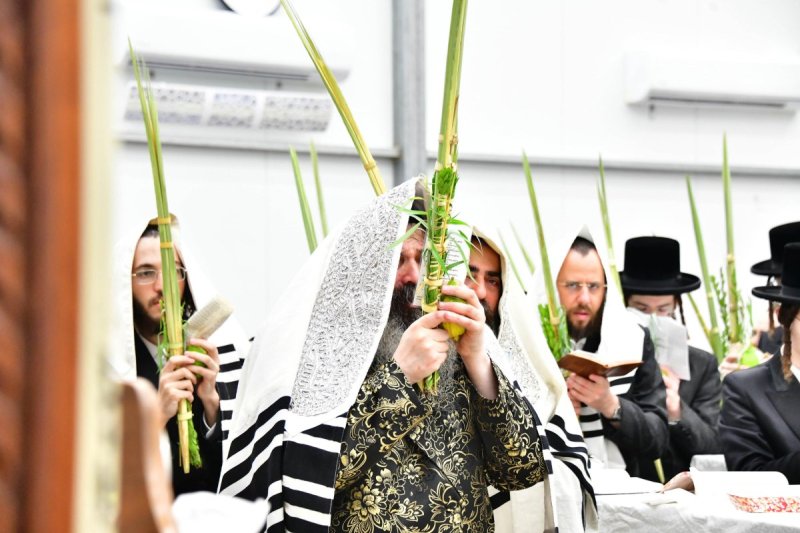 שוקי לרר