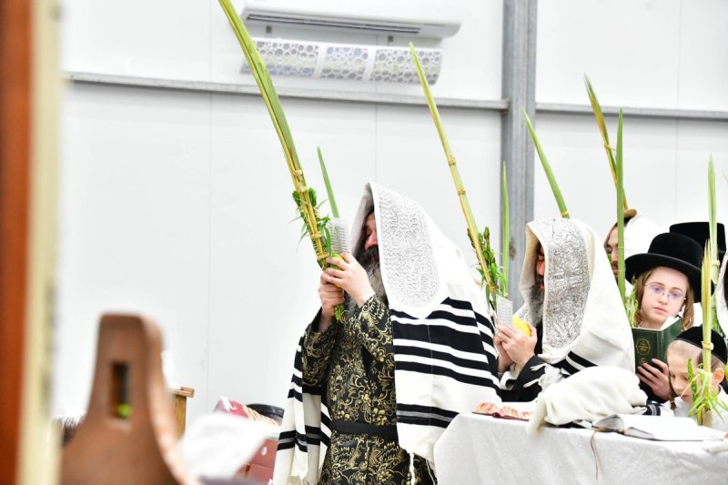 שוקי לרר