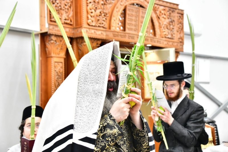 שוקי לרר
