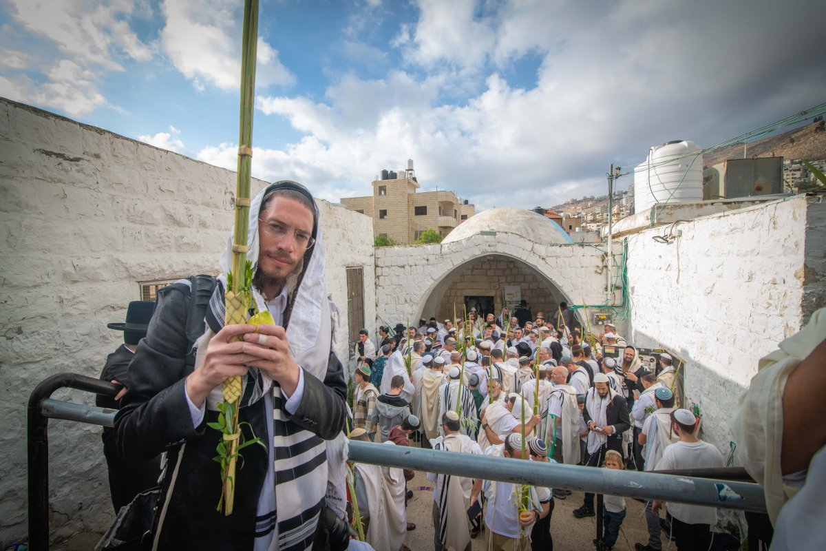באדיבות המצלם
