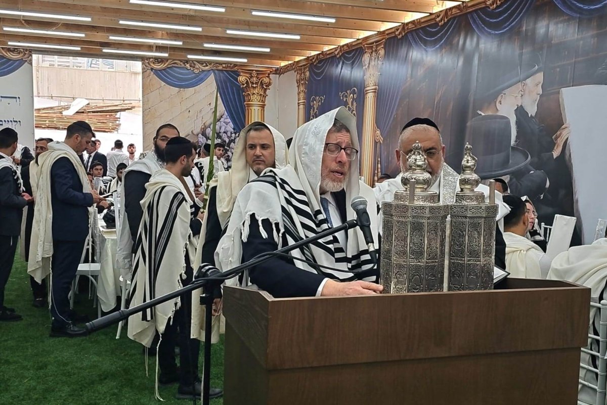 באדיבות המצלם