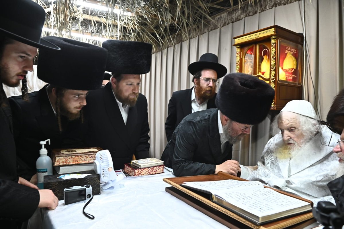 באדיבות המצלם