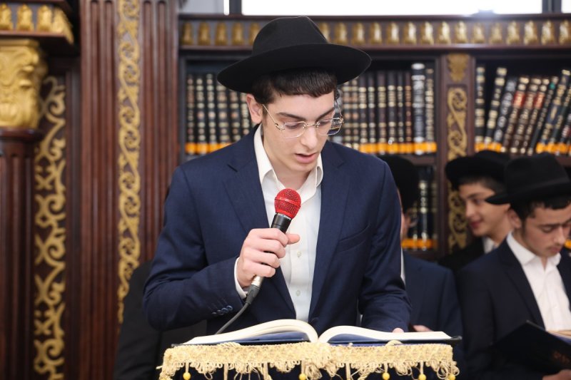 נועם אליהו