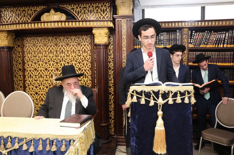 נועם אליהו