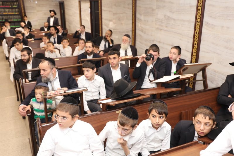 נועם אליהו
