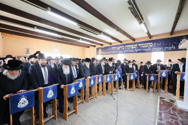 א. אייזנבאך
