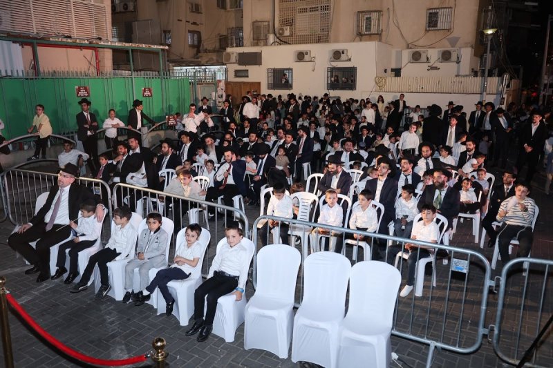 נועם אליהו