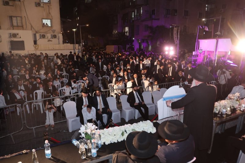נועם אליהו