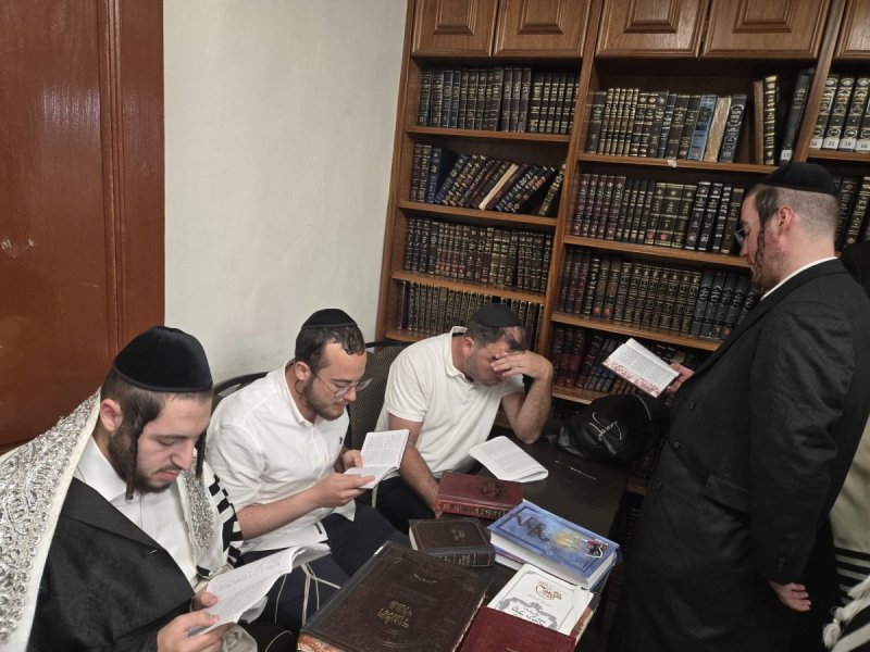 באדיבות המצלם